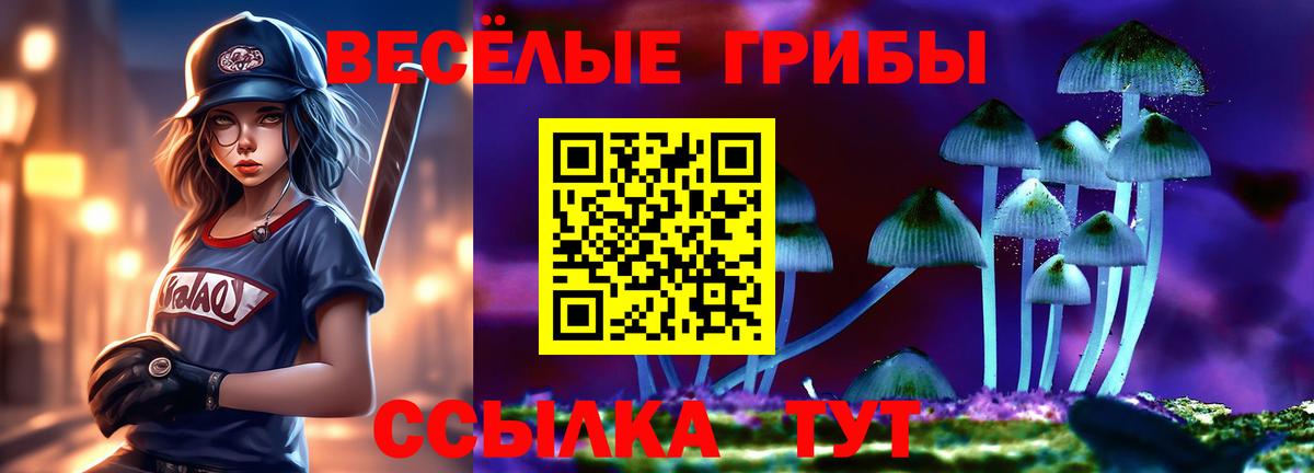Псилоцибиновые грибы Magic Shrooms Тверь